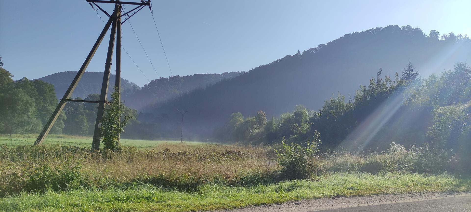 Słoneczny, mglisty poranek w górach z promieniami słońca przebijającymi się przez drzewa i drewnianym słupem telegraficznym na pierwszym planie.