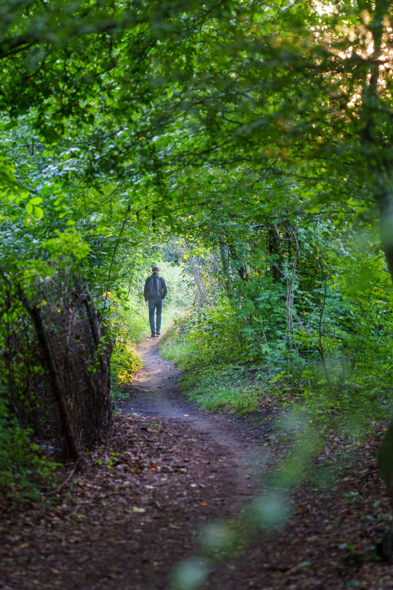 Tajemnicza postać idąca ścieżką przez gęsty, zielony las, tworzący naturalny tunel z drzew.