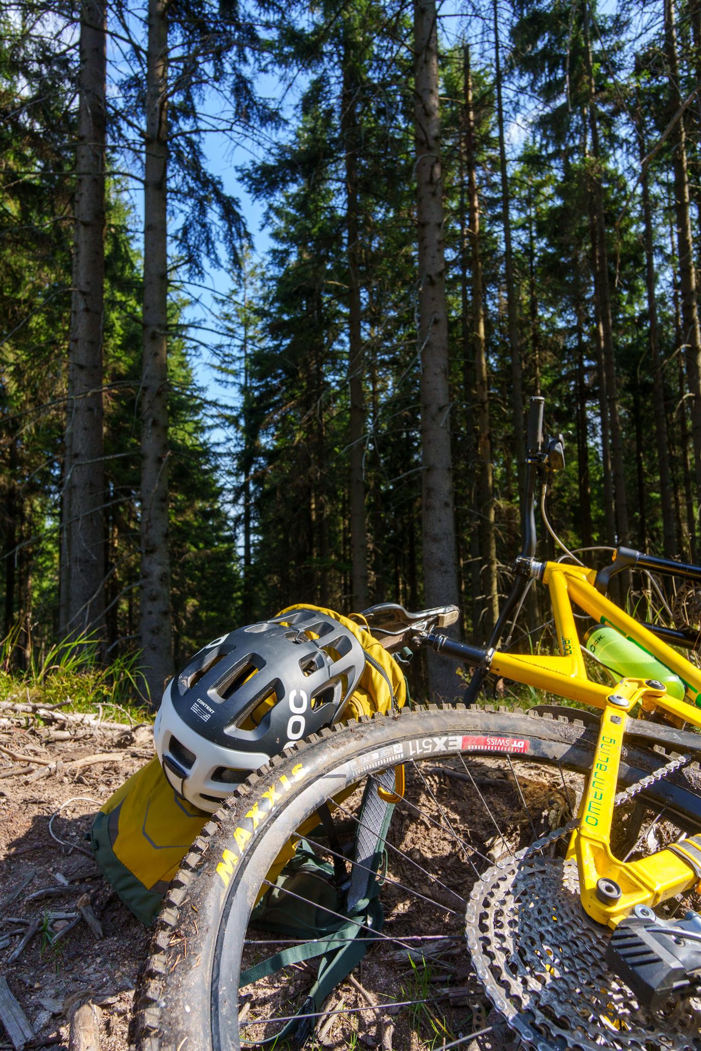 Żółty rower górski i kask leżące na ziemi w otoczeniu wysokich drzew iglastych w słoneczny dzień.