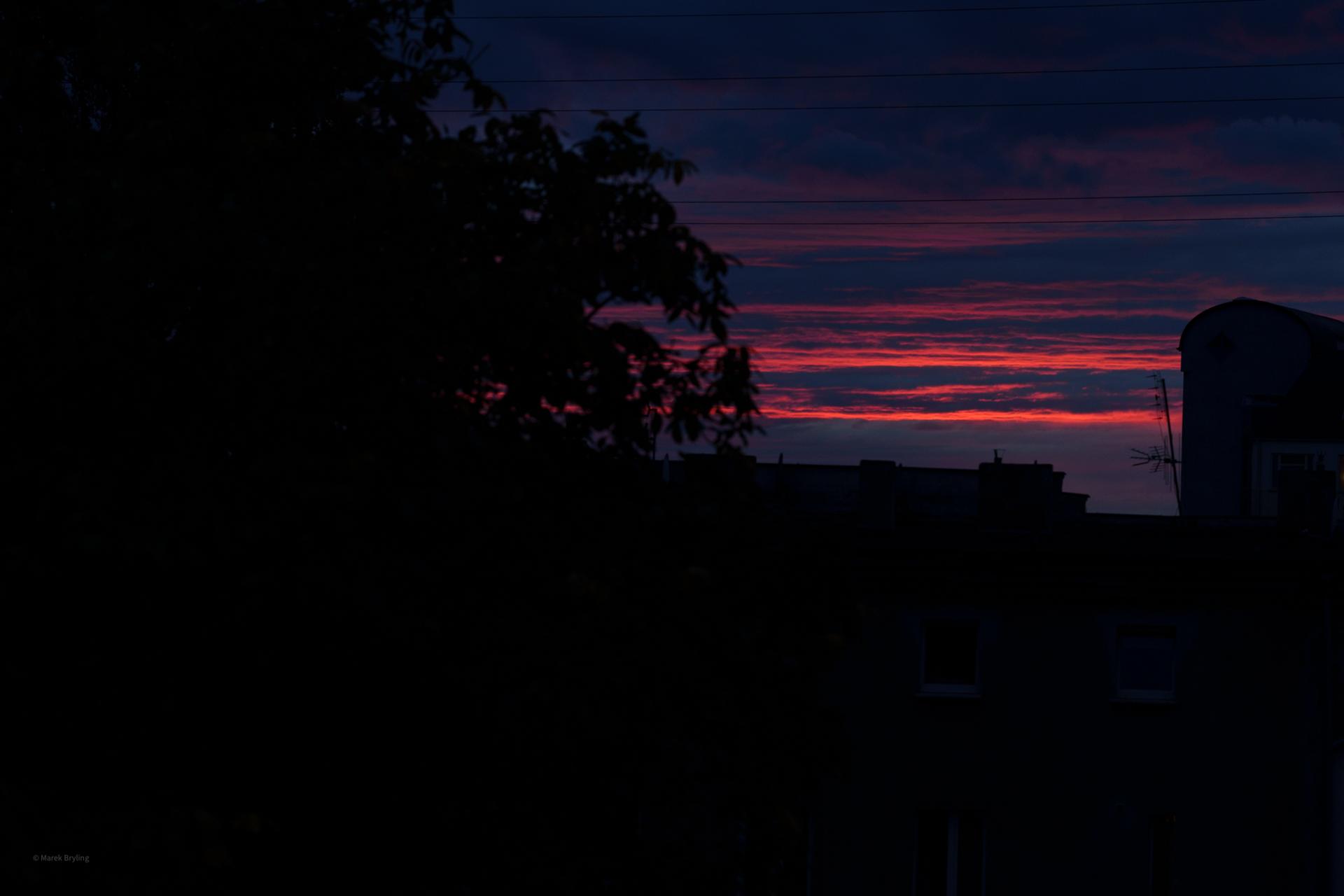 Malowniczy zachód słońca z ciemnymi sylwetkami drzew i budynków na tle fioletowo-różowego nieba.