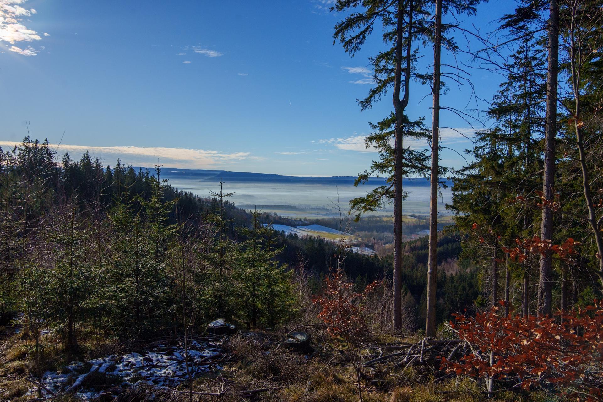 Malowniczy zimowy widok z górskiego zbocza na dolinę spowitą gęstą mgłą pod bezchmurnym, błękitnym niebem.