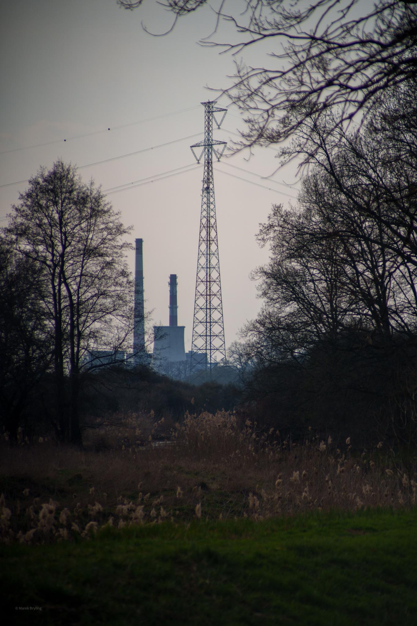 Przemysłowy krajobraz z wysokim słupem wysokiego napięcia i kominami fabrycznymi widocznymi w oddali przez bezlistne drzewa o zmierzchu.