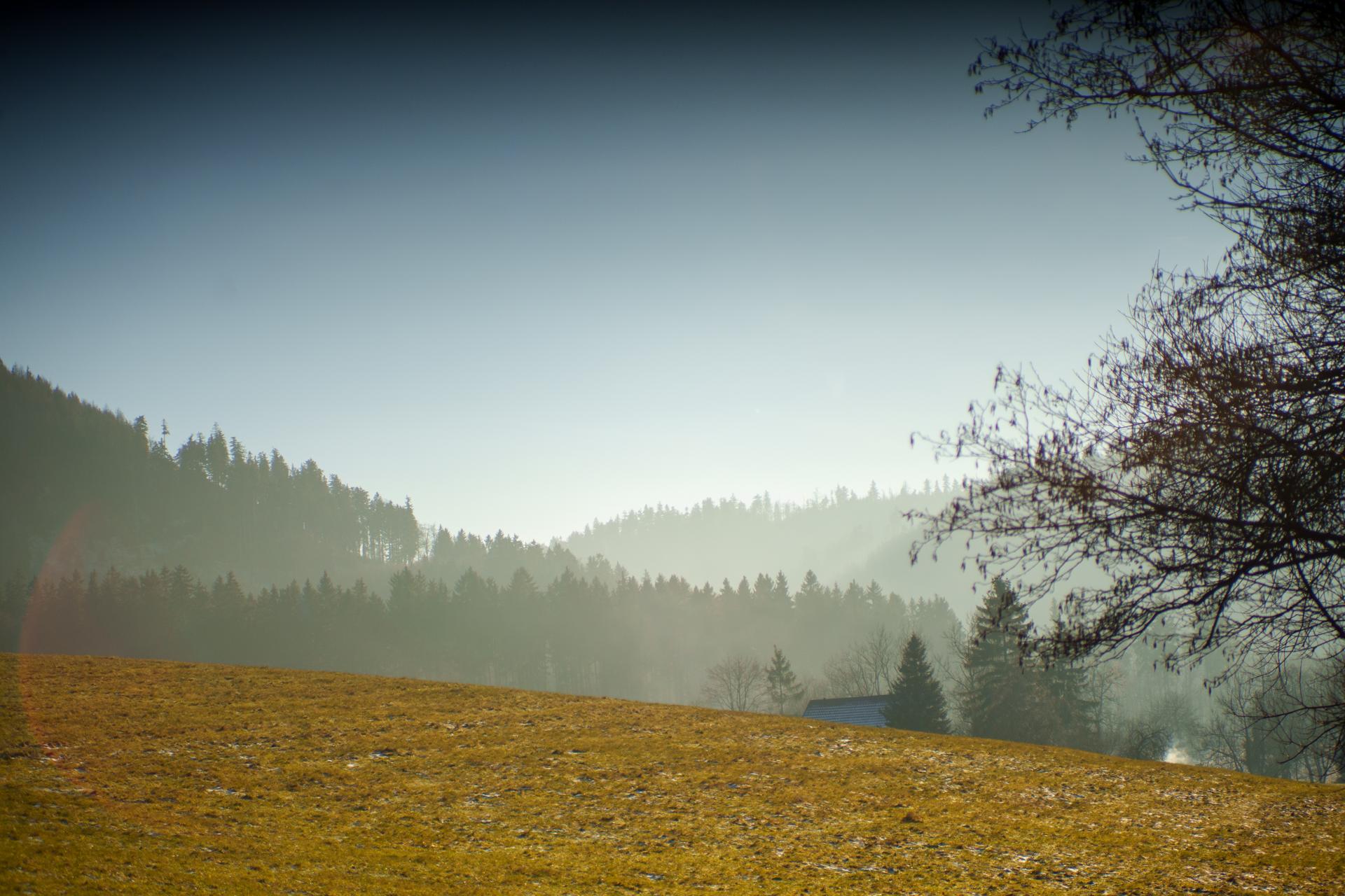 Malowniczy, mglisty krajobraz górski z widokiem na zalesione wzgórza i złotą polanę w świetle poranka.