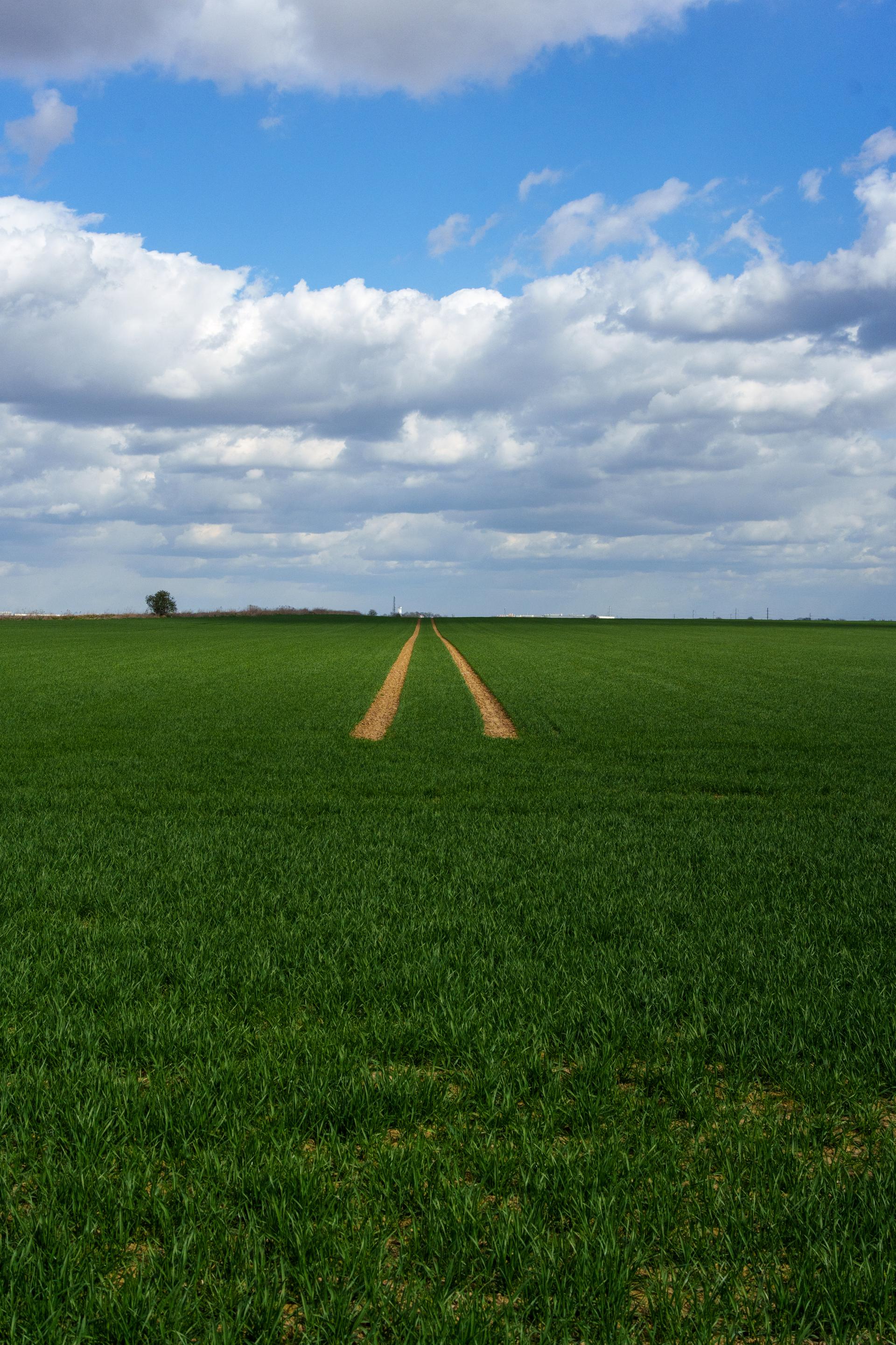 Zielone pole pod zachmurzonym błękitnym niebem z dwiema ścieżkami prowadzącymi do horyzontu.