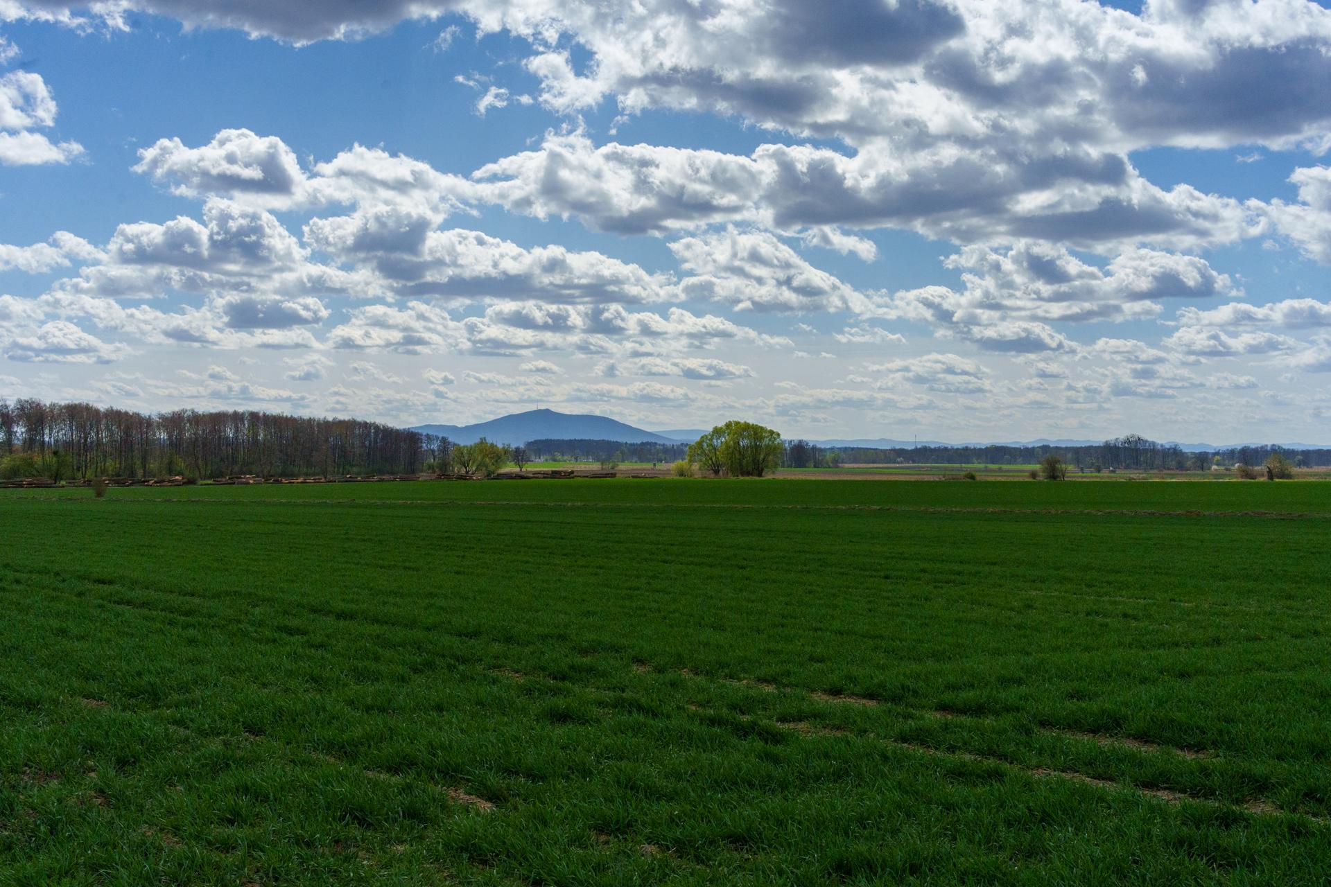 Malowniczy widok na rozległe zielone pole pod błękitnym niebem pełnym puszystych białych chmur, z delikatnym zarysem gór w oddali.