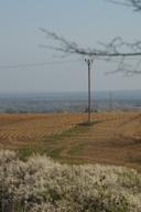 DailyPhoto: /home/marek/Projekty/private/bry/content/images/daily_photo/DSC00737.jpg taken on 2025-04-13 08:59:25