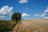 DailyPhoto: /home/marek/Projekty/private/bry/content/images/daily_photo/DSC00760.jpg taken on 2025-08-31 13:01:54