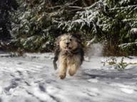 DailyPhoto: /home/marek/Projekty/private/bry/content/images/daily_photo/DSC01829.jpg taken on 2022-12-17 07:04:07