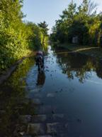 DailyPhoto: /home/marek/Projekty/private/bry/content/images/daily_photo/IMG_20240711_071226_1.jpg taken on 2024-07-11 07:12:26