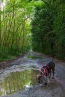 DailyPhoto: /home/marek/Projekty/private/bry/content/images/daily_photo/_A740054.jpg taken on 2024-08-11 06:44:13