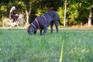 DailyPhoto: /home/marek/Projekty/private/bry/content/images/daily_photo/_A740119.jpg taken on 2024-08-13 05:17:02