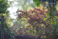 DailyPhoto: /home/marek/Projekty/private/bry/content/images/daily_photo/_A740215.jpg taken on 2024-08-17 07:13:31