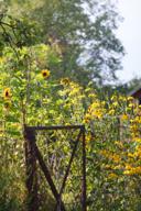 DailyPhoto: /home/marek/Projekty/private/bry/content/images/daily_photo/_A740224.jpg taken on 2024-08-17 07:19:00