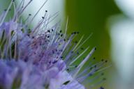 DailyPhoto: /home/marek/Projekty/private/bry/content/images/daily_photo/_A740247.jpg taken on 2024-08-17 09:49:19