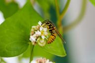 DailyPhoto: /home/marek/Projekty/private/bry/content/images/daily_photo/_A740255.jpg taken on 2024-08-17 09:50:42