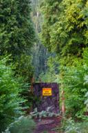 DailyPhoto: /home/marek/Projekty/private/bry/content/images/daily_photo/_A740266.jpg taken on 2024-08-18 05:41:11