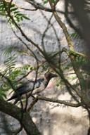 DailyPhoto: /home/marek/Projekty/private/bry/content/images/daily_photo/_A740313.jpg taken on 2024-08-18 06:29:11