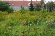 DailyPhoto: /home/marek/Projekty/private/bry/content/images/daily_photo/_A740431.jpg taken on 2024-08-22 06:18:00