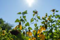 DailyPhoto: /home/marek/Projekty/private/bry/content/images/daily_photo/_A740495.jpg taken on 2024-08-24 08:41:59