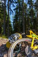 DailyPhoto: /home/marek/Projekty/private/bry/content/images/daily_photo/_A740551.jpg taken on 2024-08-25 09:19:15