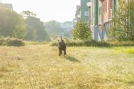 DailyPhoto: /home/marek/Projekty/private/bry/content/images/daily_photo/_A740692.jpg taken on 2024-08-30 06:20:34