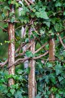 DailyPhoto: /home/marek/Projekty/private/bry/content/images/daily_photo/_A740767.jpg taken on 2024-09-02 05:27:44