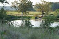 DailyPhoto: /home/marek/Projekty/private/bry/content/images/daily_photo/_A741003.jpg taken on 2024-09-08 07:04:43