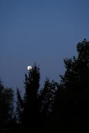 DailyPhoto: /home/marek/Projekty/private/bry/content/images/daily_photo/_A741204.jpg taken on 2024-09-19 05:25:41