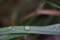 DailyPhoto: /home/marek/Projekty/private/bry/content/images/daily_photo/_A741392.jpg taken on 2024-09-27 06:09:40