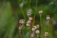 DailyPhoto: /home/marek/Projekty/private/bry/content/images/daily_photo/_A741430.jpg taken on 2023-08-01 06:07:14