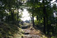 DailyPhoto: /home/marek/Projekty/private/bry/content/images/daily_photo/_A741476.jpg taken on 2024-09-29 07:54:08