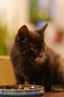 DailyPhoto: /home/marek/Projekty/private/bry/content/images/daily_photo/_A741570.jpg taken on 2024-10-19 17:08:30