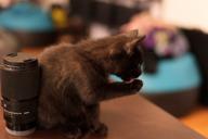 DailyPhoto: /home/marek/Projekty/private/bry/content/images/daily_photo/_A741601.jpg taken on 2024-10-19 17:13:32