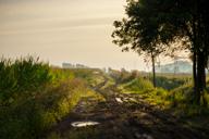 DailyPhoto: /home/marek/Projekty/private/bry/content/images/daily_photo/_A741610.jpg taken on 2023-08-12 06:39:22