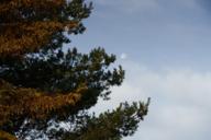 DailyPhoto: /home/marek/Projekty/private/bry/content/images/daily_photo/_A741612.jpg taken on 2024-10-20 07:21:12