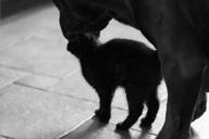 DailyPhoto: /home/marek/Projekty/private/bry/content/images/daily_photo/_A741663.jpg taken on 2024-10-21 07:34:06