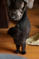 DailyPhoto: /home/marek/Projekty/private/bry/content/images/daily_photo/_A741672.jpg taken on 2024-10-21 07:34:46