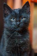 DailyPhoto: /home/marek/Projekty/private/bry/content/images/daily_photo/_A741699.jpg taken on 2024-10-23 07:39:33