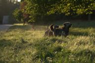 DailyPhoto: /home/marek/Projekty/private/bry/content/images/daily_photo/_A742258.jpg taken on 2023-09-20 07:20:53