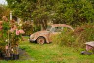 DailyPhoto: /home/marek/Projekty/private/bry/content/images/daily_photo/_A742509.jpg taken on 2023-10-01 09:11:00