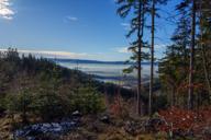 DailyPhoto: /home/marek/Projekty/private/bry/content/images/daily_photo/_A742552.jpg taken on 2024-12-28 11:54:36