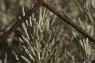 DailyPhoto: /home/marek/Projekty/private/bry/content/images/daily_photo/_A742804.jpg taken on 2023-10-08 10:12:05