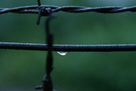 DailyPhoto: /home/marek/Projekty/private/bry/content/images/daily_photo/_A743008.jpg taken on 2023-10-21 07:26:11