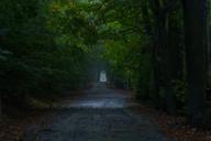 DailyPhoto: /home/marek/Projekty/private/bry/content/images/daily_photo/_A743016.jpg taken on 2023-10-21 07:47:54