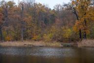 DailyPhoto: /home/marek/Projekty/private/bry/content/images/daily_photo/_A743292.jpg taken on 2023-11-19 09:07:10