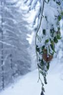 DailyPhoto: /home/marek/Projekty/private/bry/content/images/daily_photo/_A743632.jpg taken on 2023-12-03 09:28:22