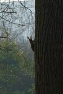 DailyPhoto: /home/marek/Projekty/private/bry/content/images/daily_photo/_A743732.jpg taken on 2025-03-08 07:59:14