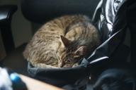 DailyPhoto: /home/marek/Projekty/private/bry/content/images/daily_photo/_A743931.jpg taken on 2023-12-17 10:43:29