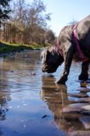 DailyPhoto: /home/marek/Projekty/private/bry/content/images/daily_photo/_A743994.jpg taken on 2025-03-16 09:42:24