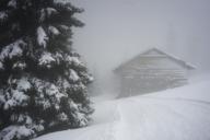 DailyPhoto: /home/marek/Projekty/private/bry/content/images/daily_photo/_A744143.jpg taken on 2024-01-06 13:16:23